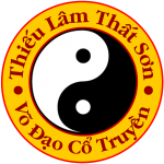 ThieuLamThatSonVoDao-Logo